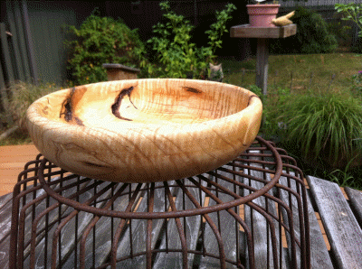 Ash Bowl with Bark Incllusions